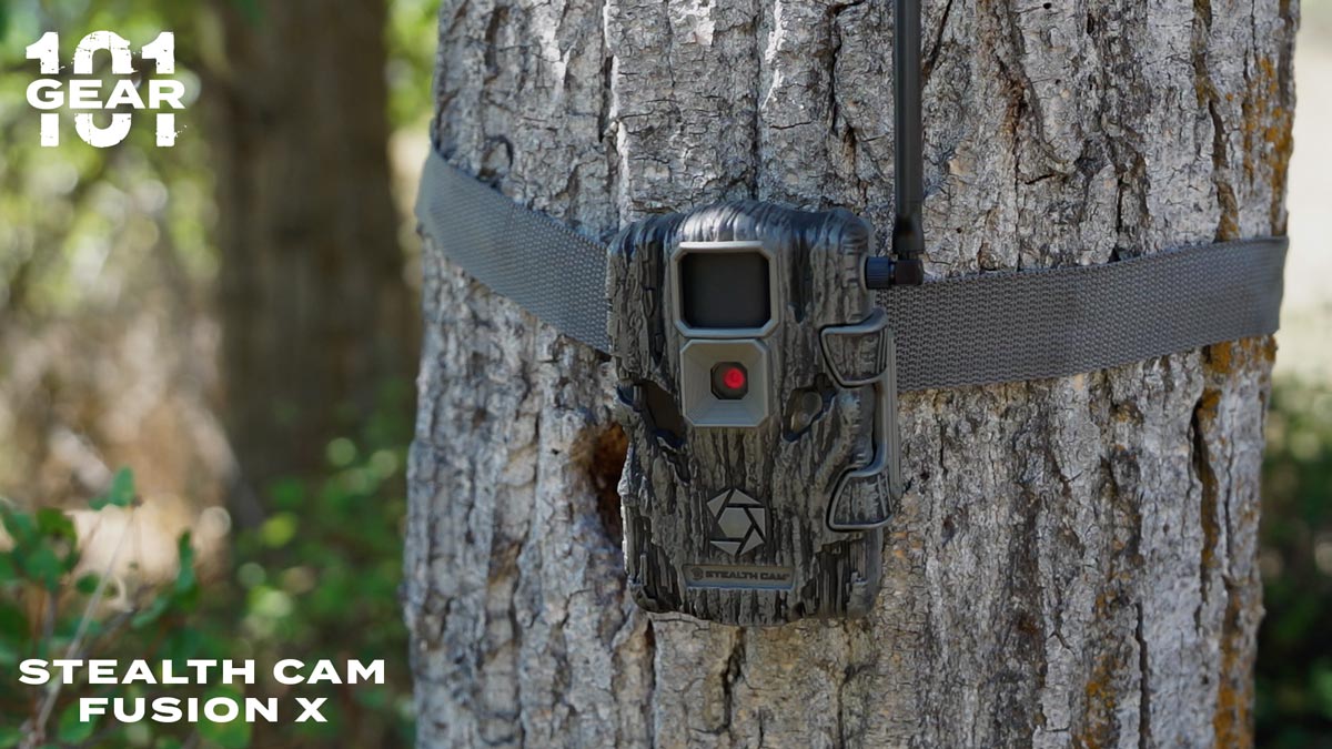Gear 101 Stealth Cam Fusion X Rocky Mountain Elk Foundation