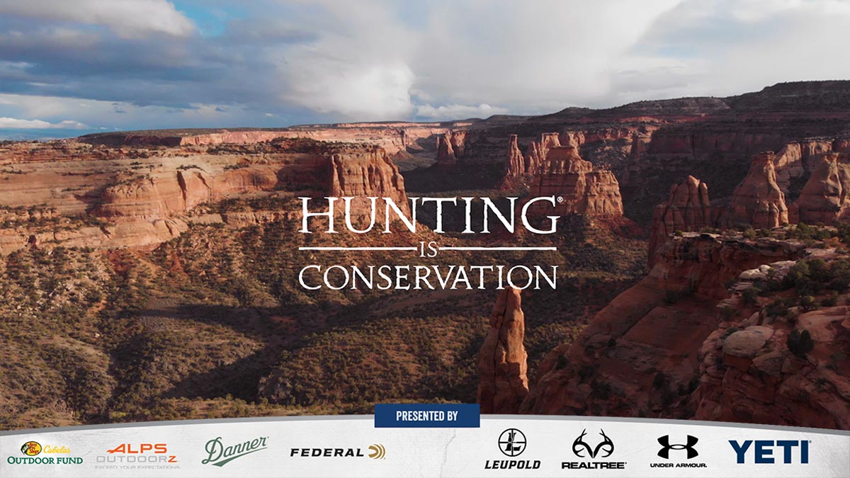 Hunting Is Conservation Hunting Provides Funding For Conservation